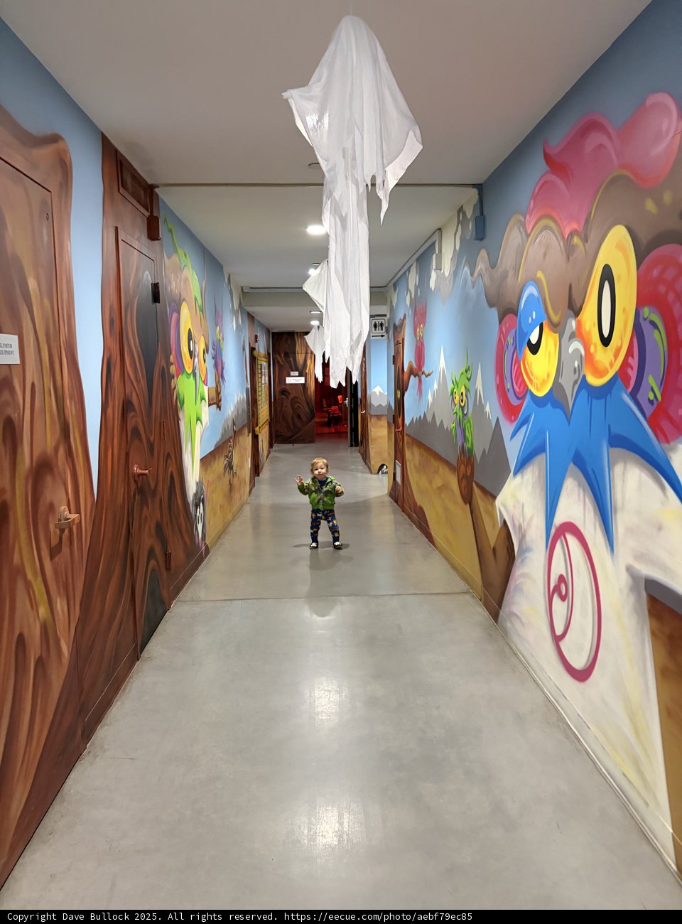 Corridor of Colors