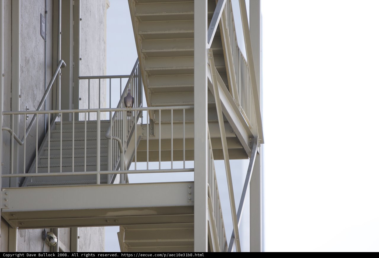 Urban Architecture in the Highline Training