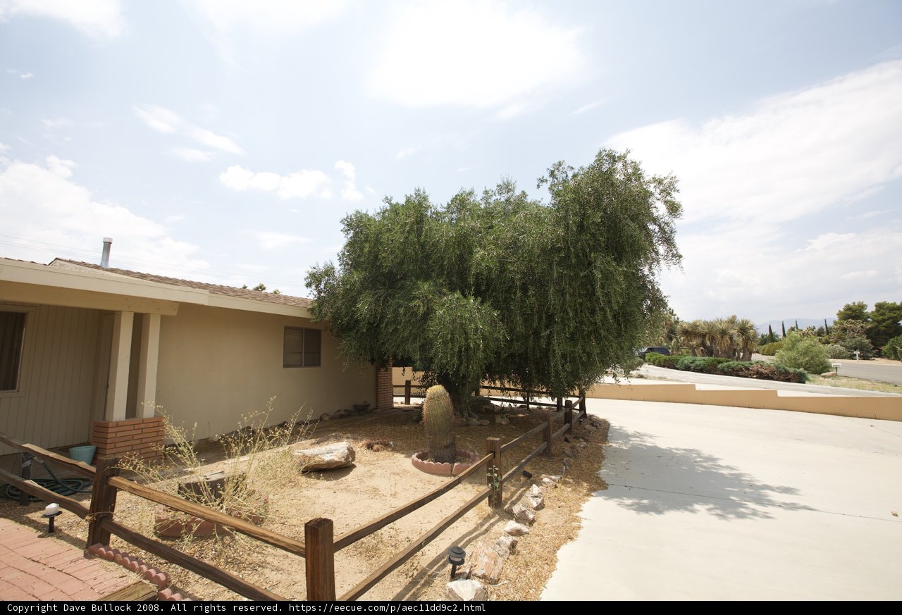 Serene Villa with Front Tree