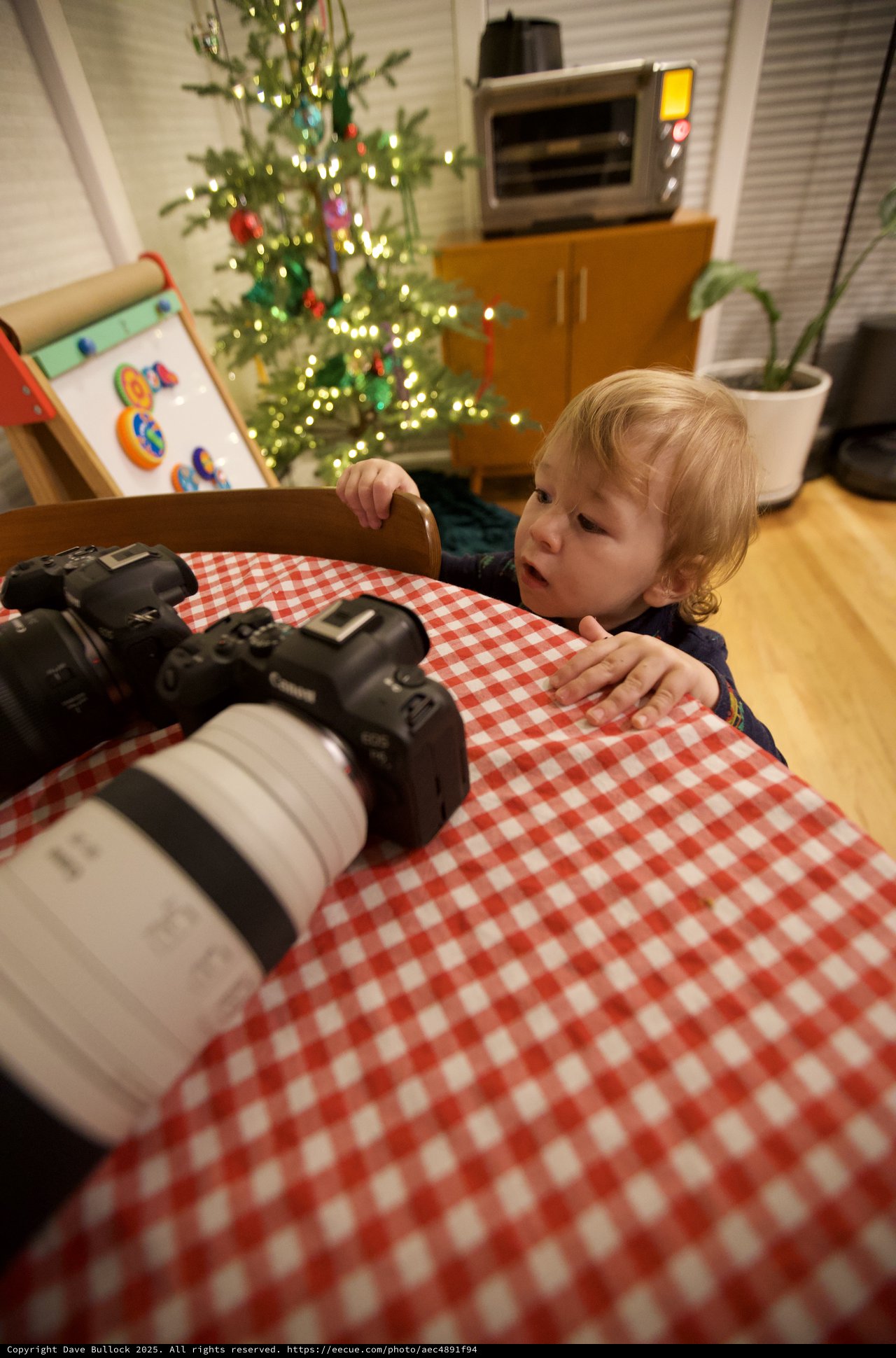 Toddler's Curious Christmas Morning with Camera Equipment
