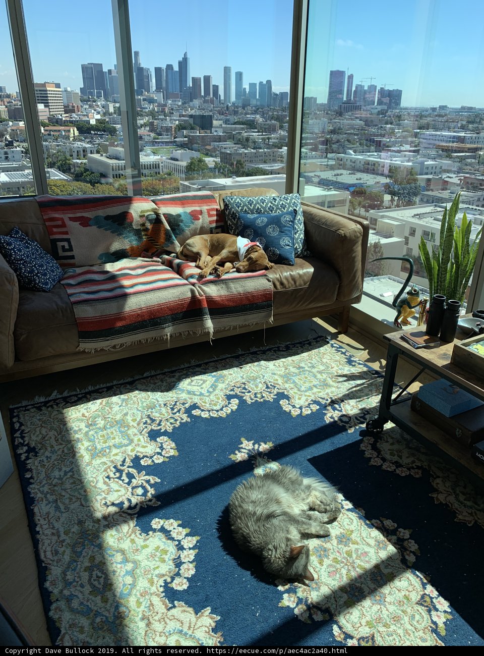 Cozy Living Room with Furry Friends