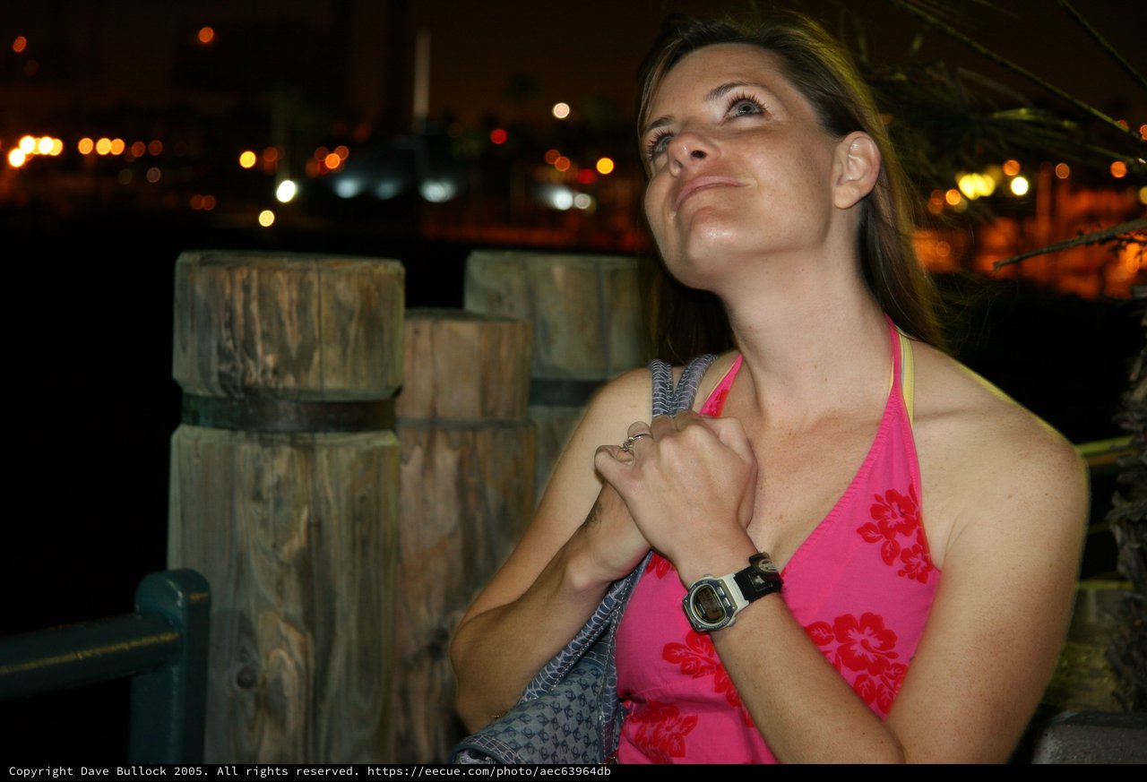 Woman Gazing Upward at Waterfront Night Scene