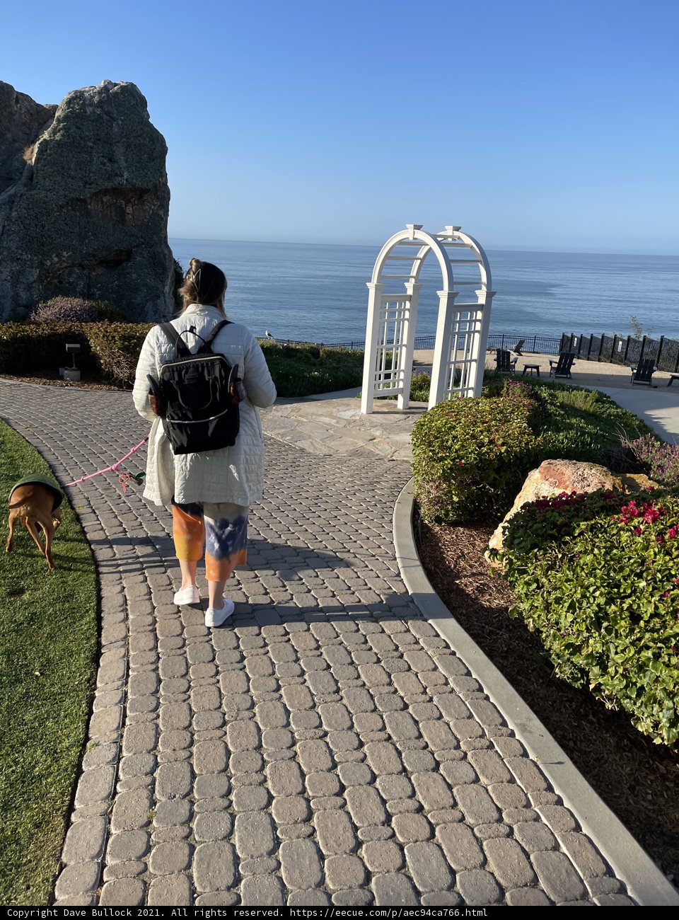 A Walk by the Ocean with My Best Furry Friend