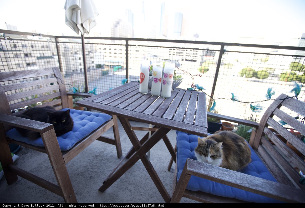 Table for Two