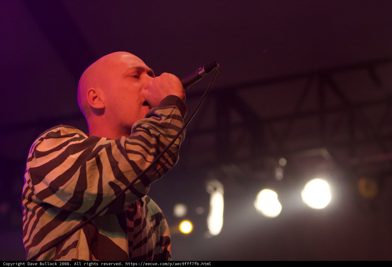 Zebra-Printed Entertainer on Stage