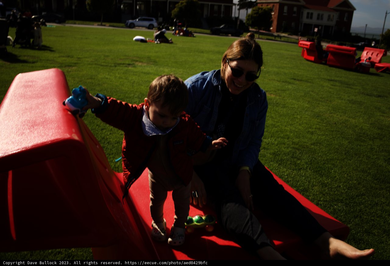 Summer's Sweet Serenity in Presidio Park
