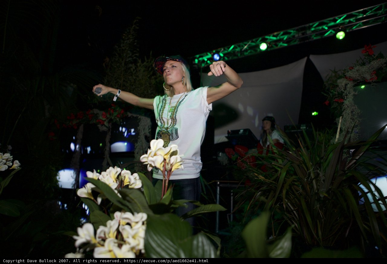 Dancing among the Blooms