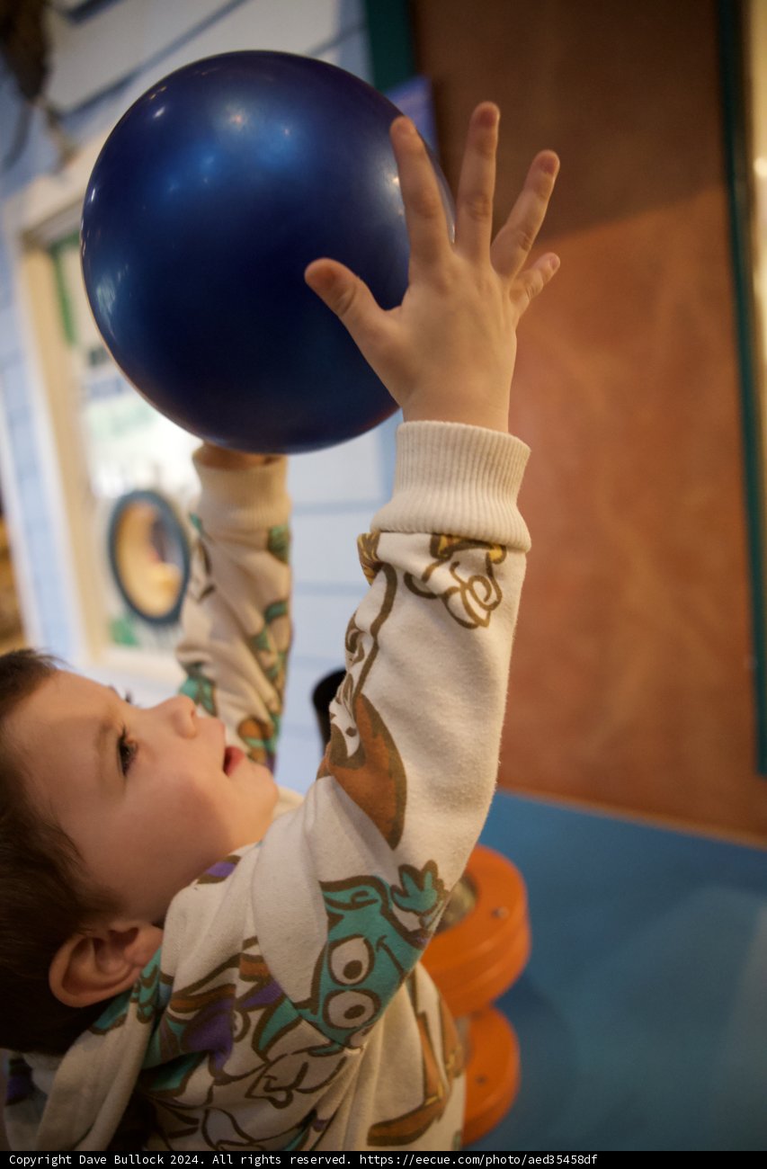 Balloon Dreams