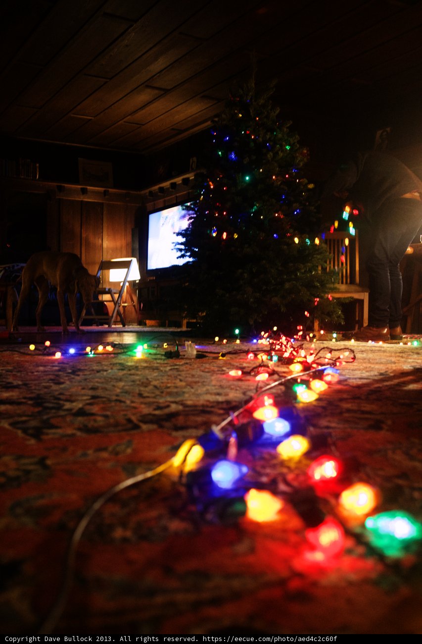 Illuminating Christmas Tree in Altadena