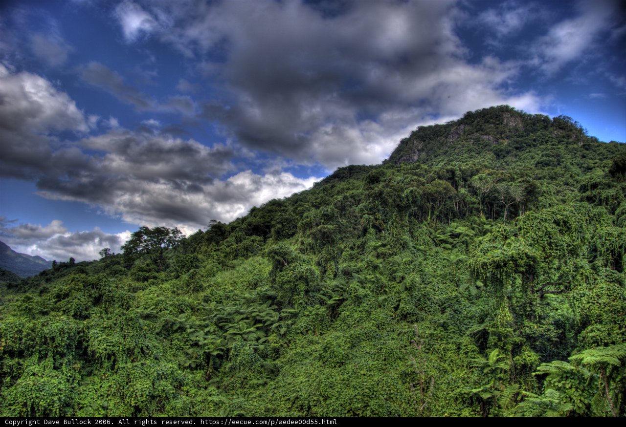 Majestic Mountain Covered in Clouds