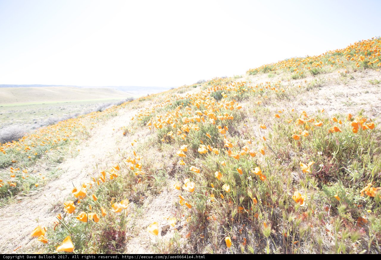 Orange Meadow Trail