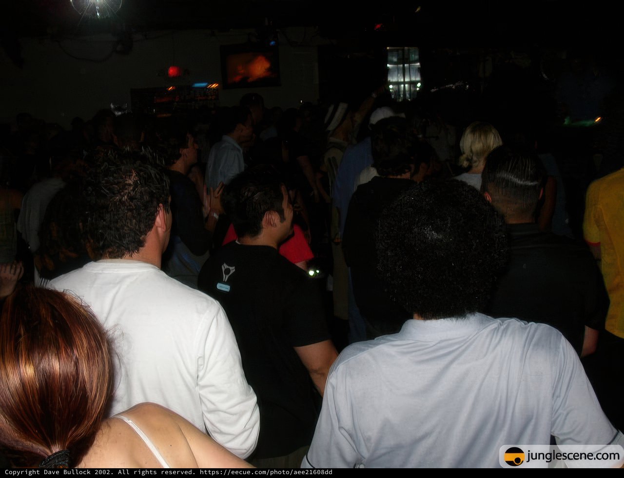 Nightclub Crowd in the Dark Room