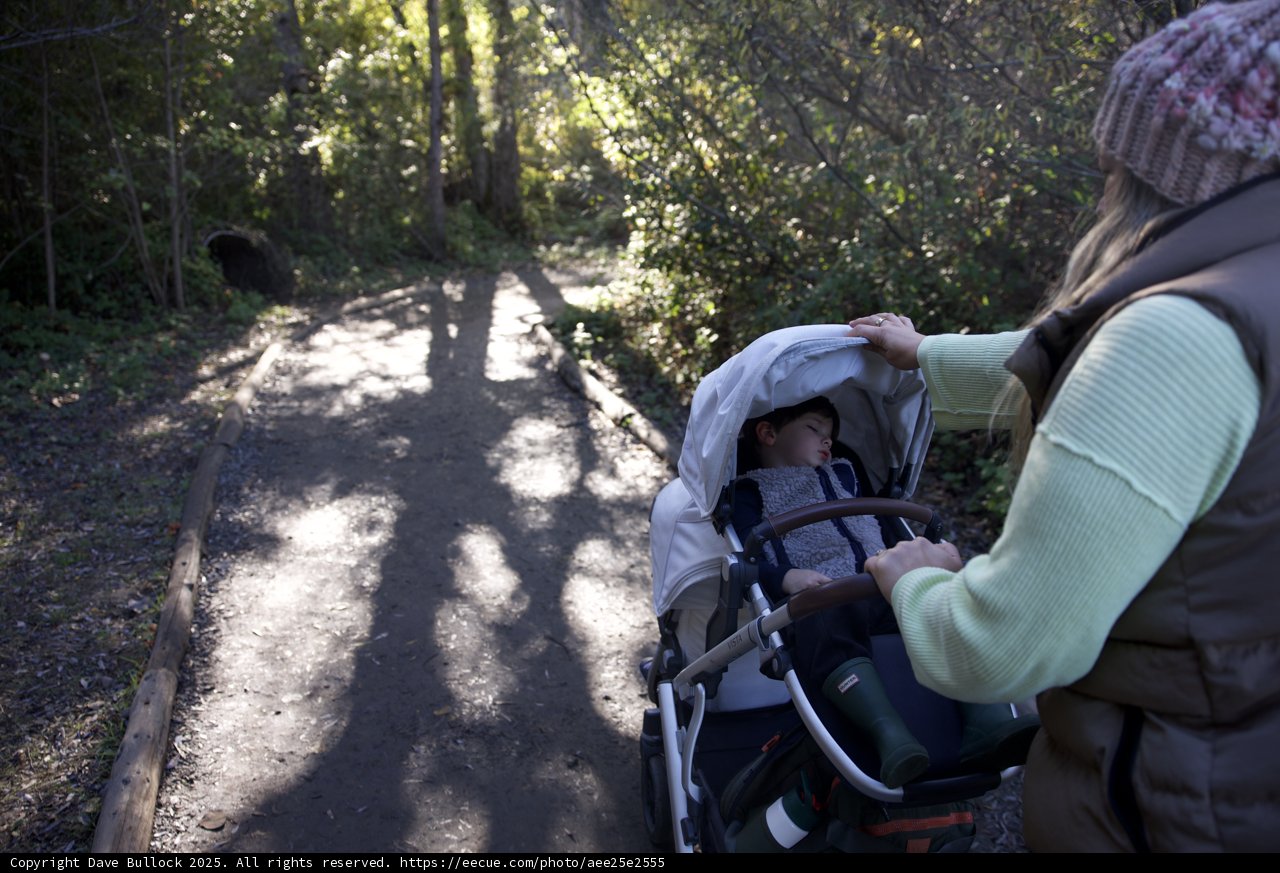 Quiet Stroll Through Thistlewyck