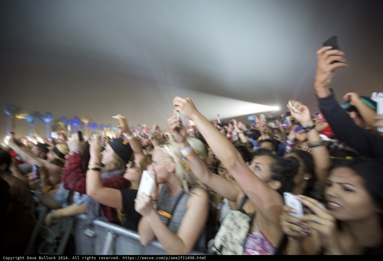 Crowd's Celebration
