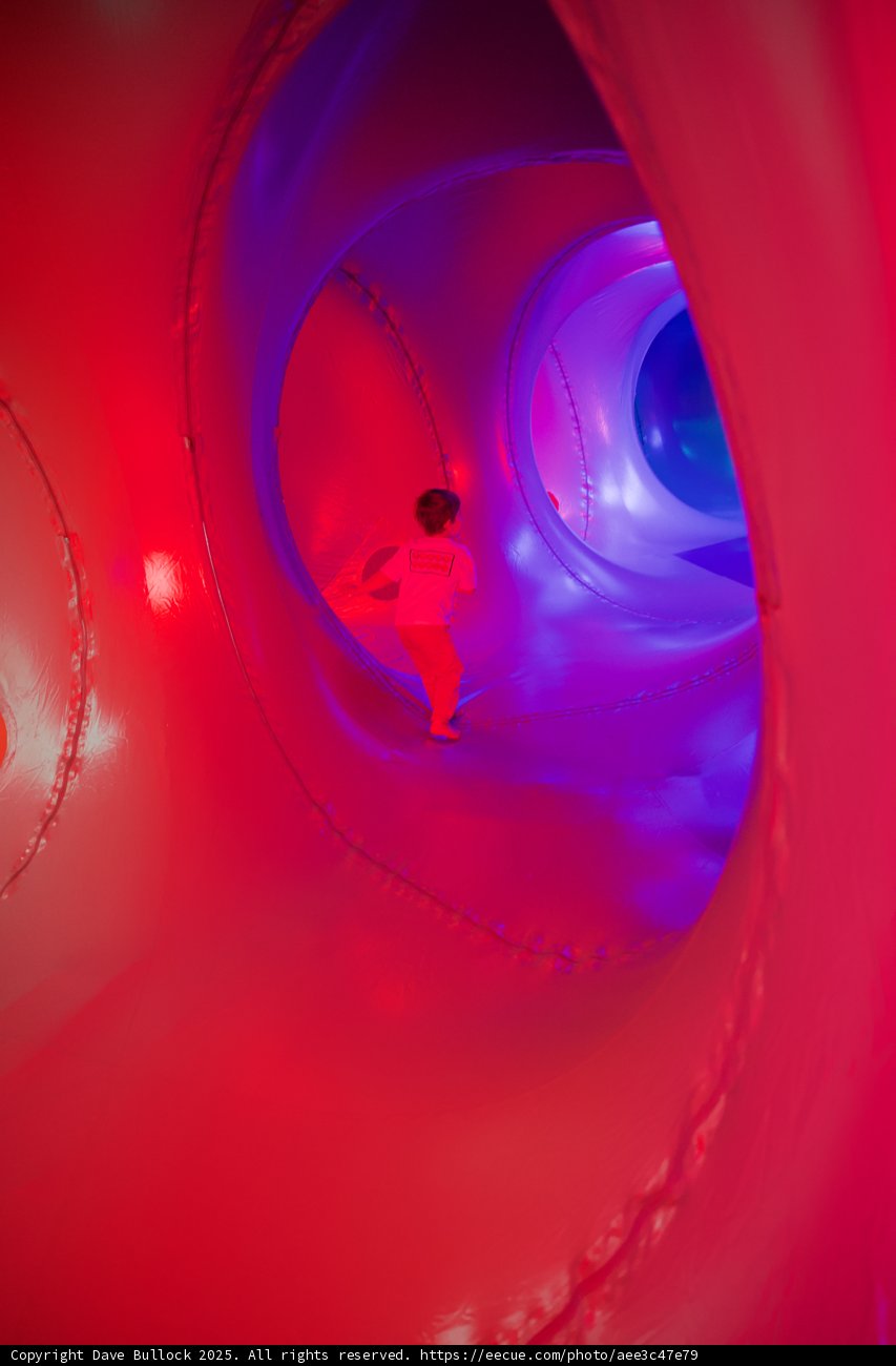 Journey Through Colorful Dimensions