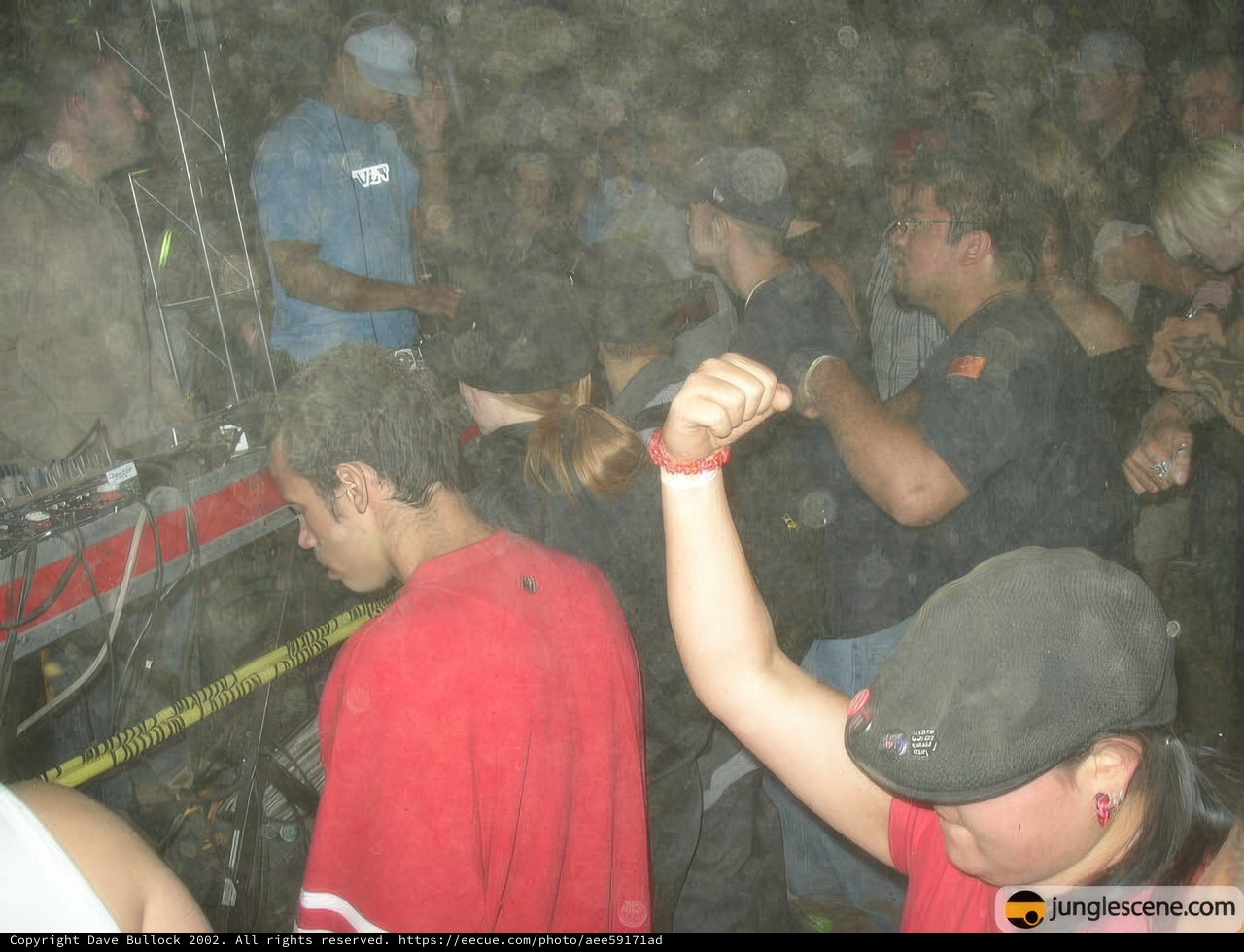 Partygoers with Hands Up