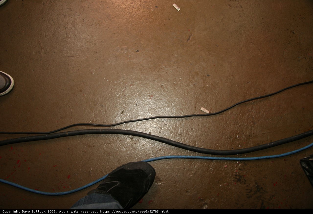 Standing on the Blue Cord