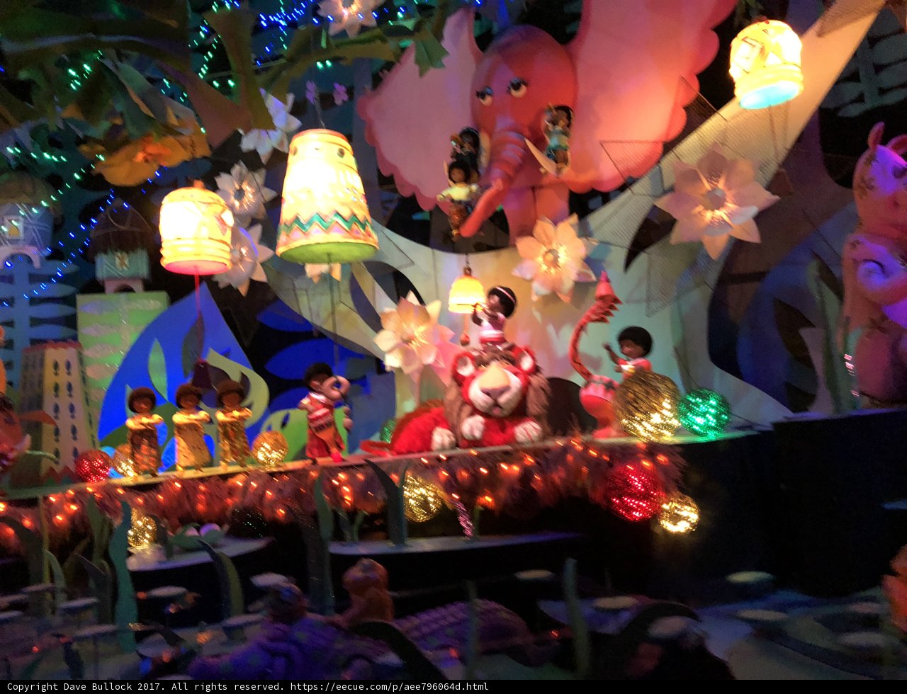 Magical Memories Under the Disney Lights