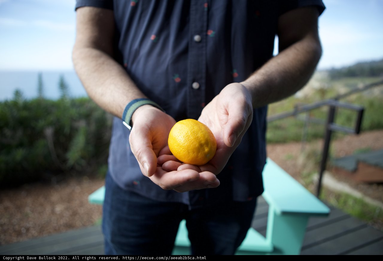 Fresh Orange Held in Cupped Hands Outdoors
