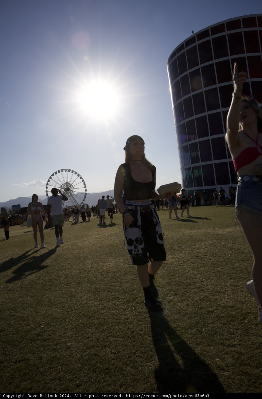 Sun-kissed Moments at Coachella 2024