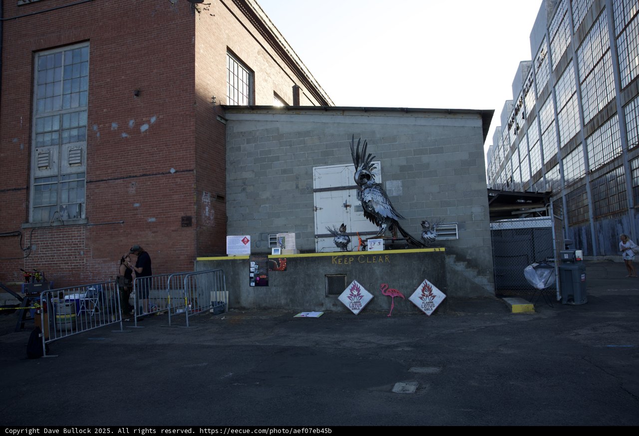 Urban Aviary Art at Maker Faire