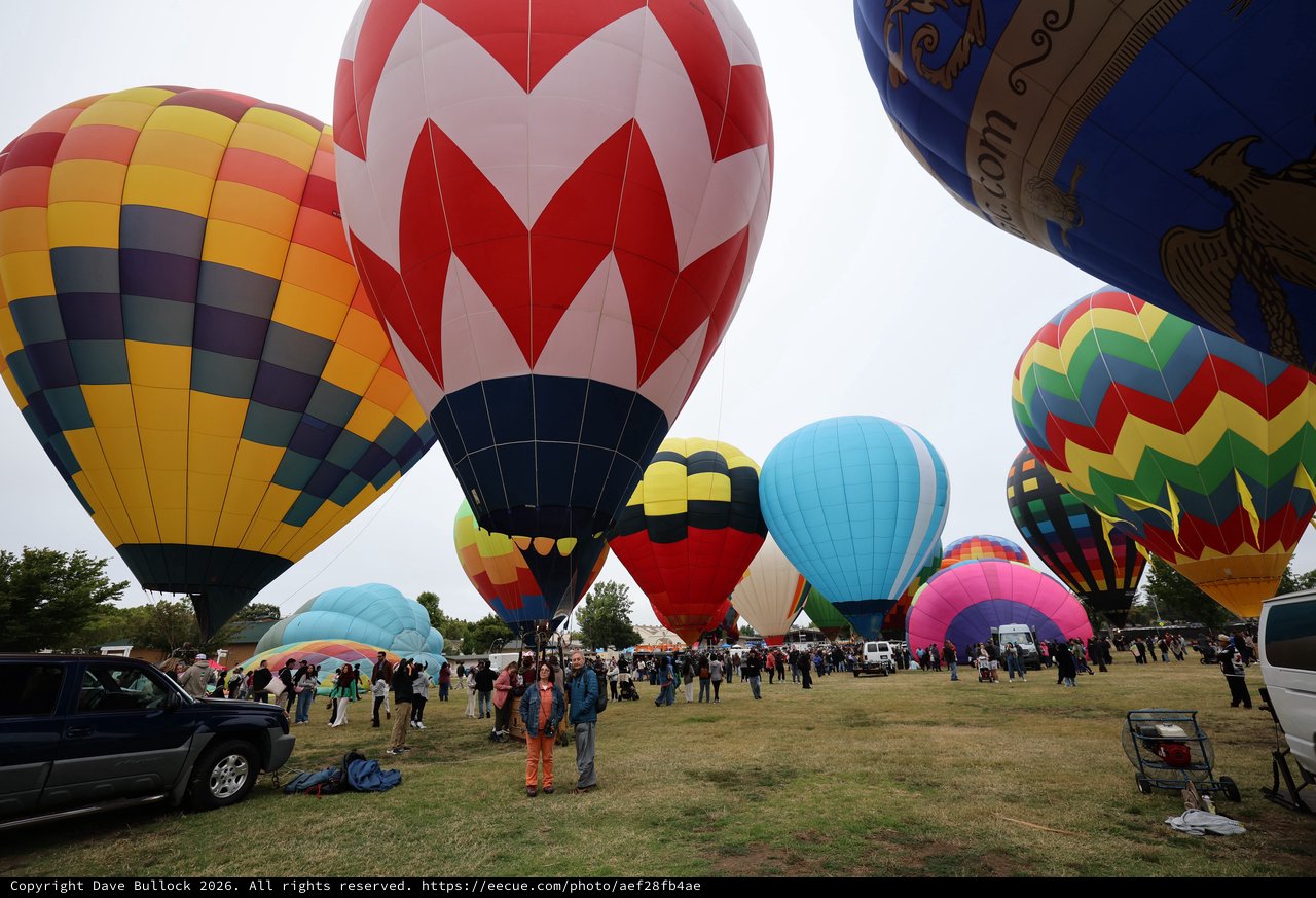 Colorful Hot Air Balloons Fill Festival Sky