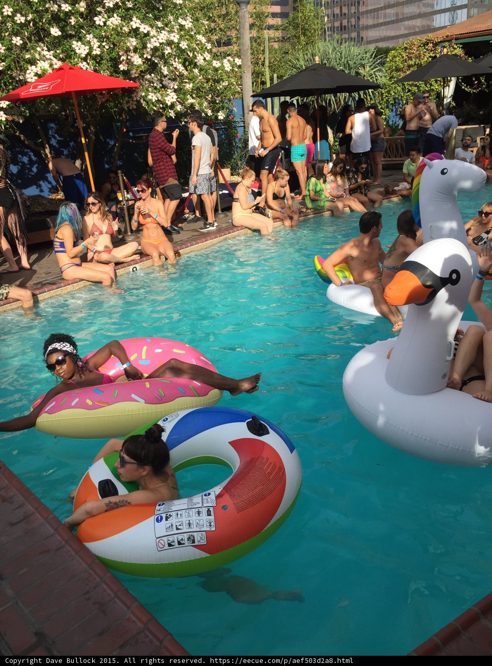 Pool Party in Los Angeles