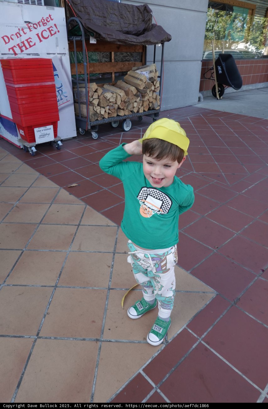 Little Urban Adventurer
