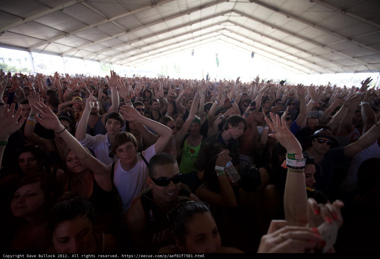 Hands Up at Coachella