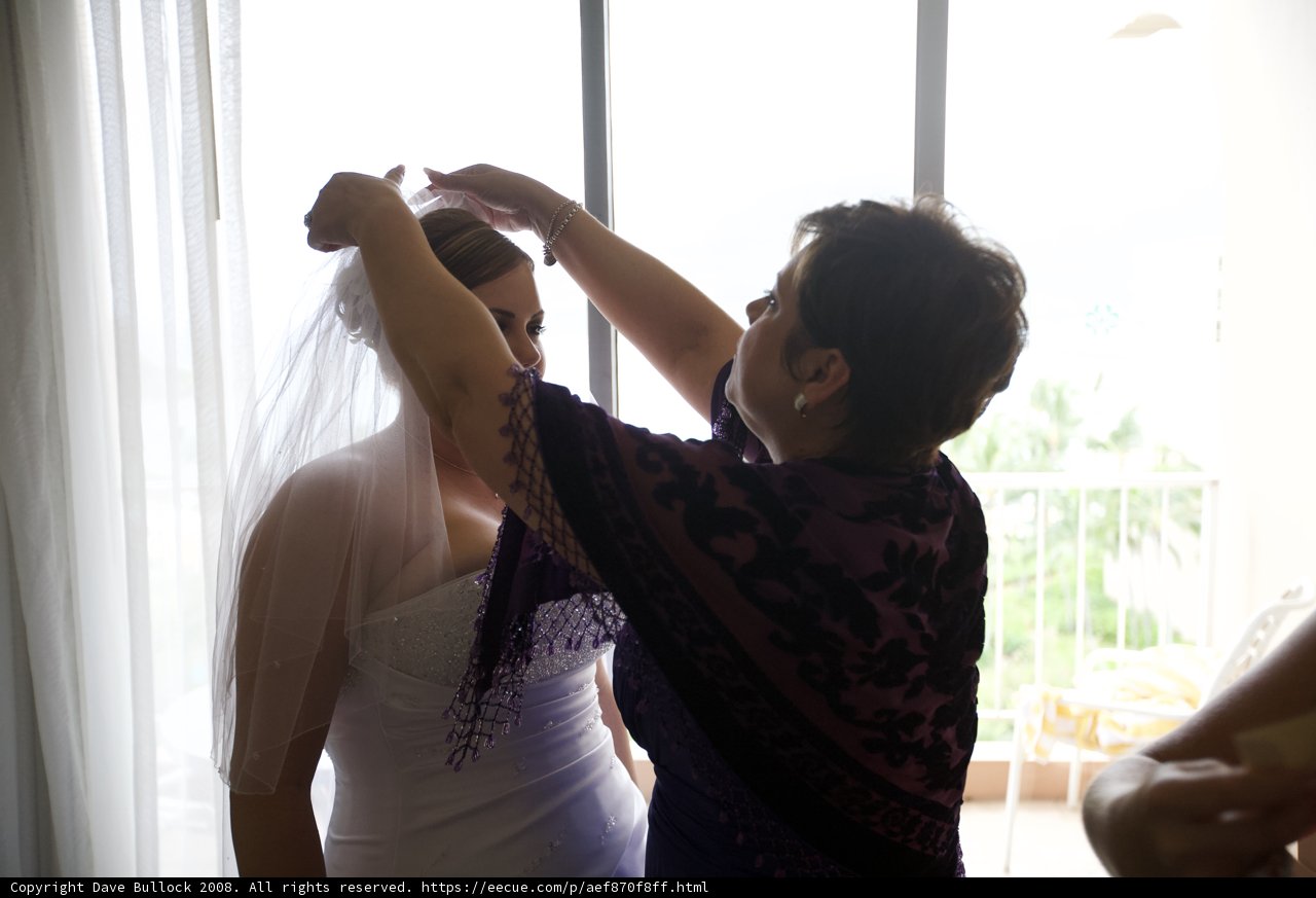Putting on the Wedding Veil