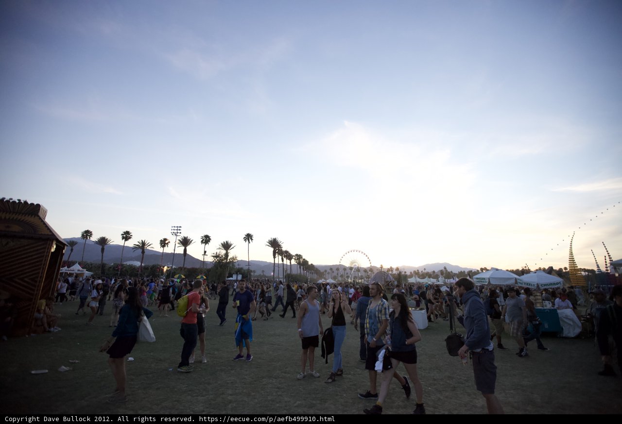 A Sea of Smiling Faces at Coachella 2012