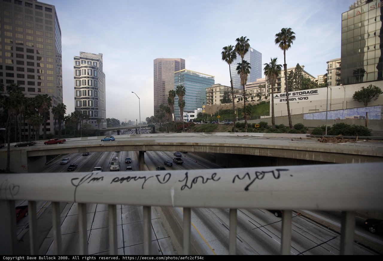 Graffiti-strewn Freeway and Majestic Palm Trees