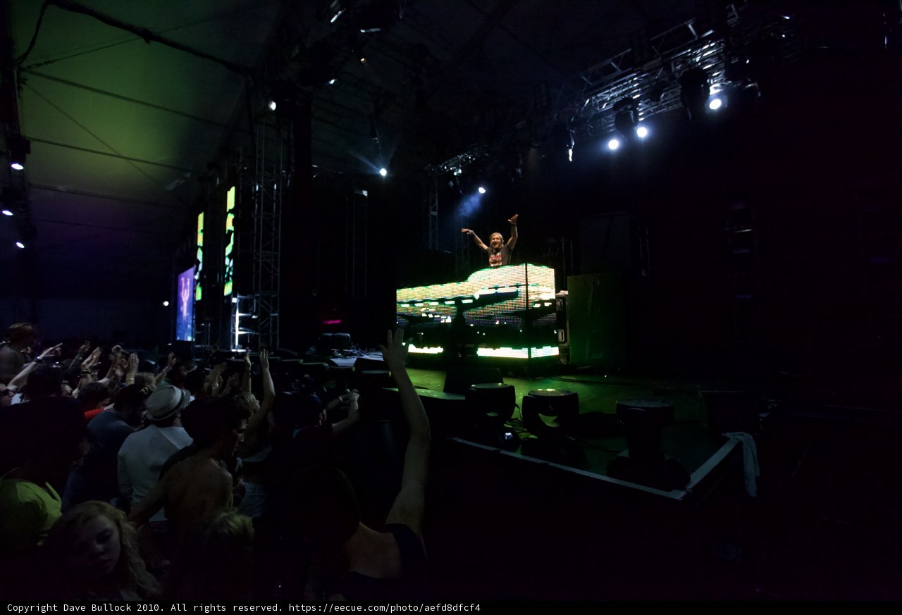 DJ Rocking the Crowd at Coachella