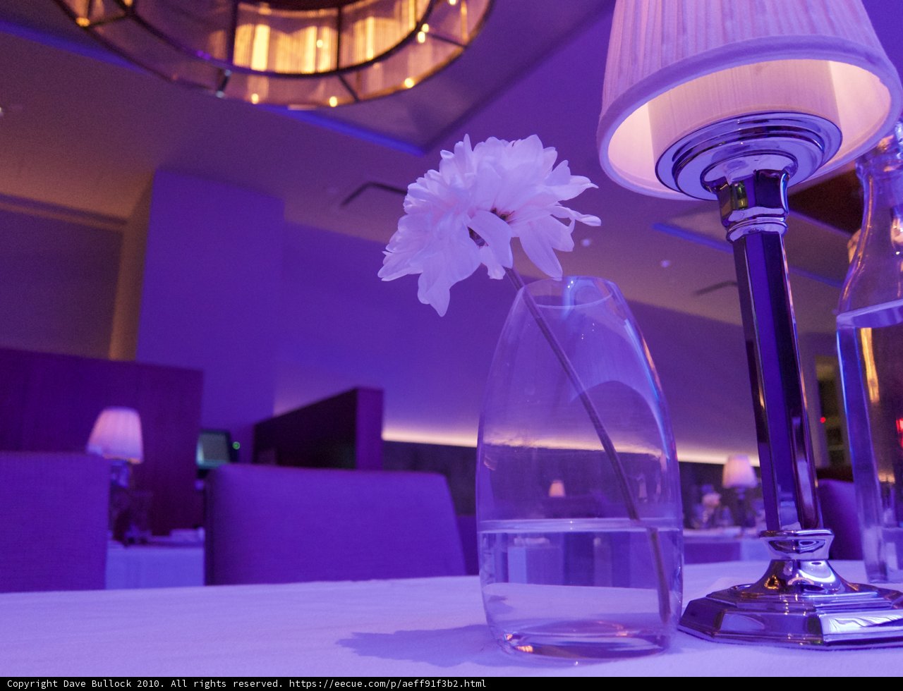 Flower and Lamp on Table