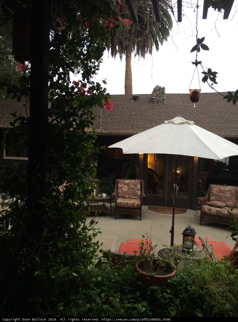 A Serene Patio Scene