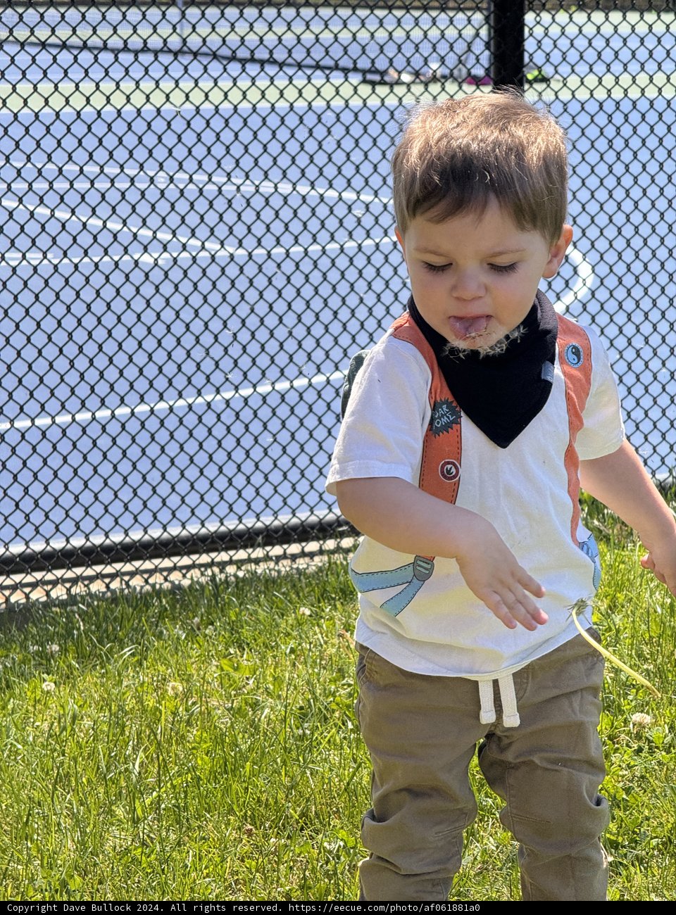 A Sunny Day Play