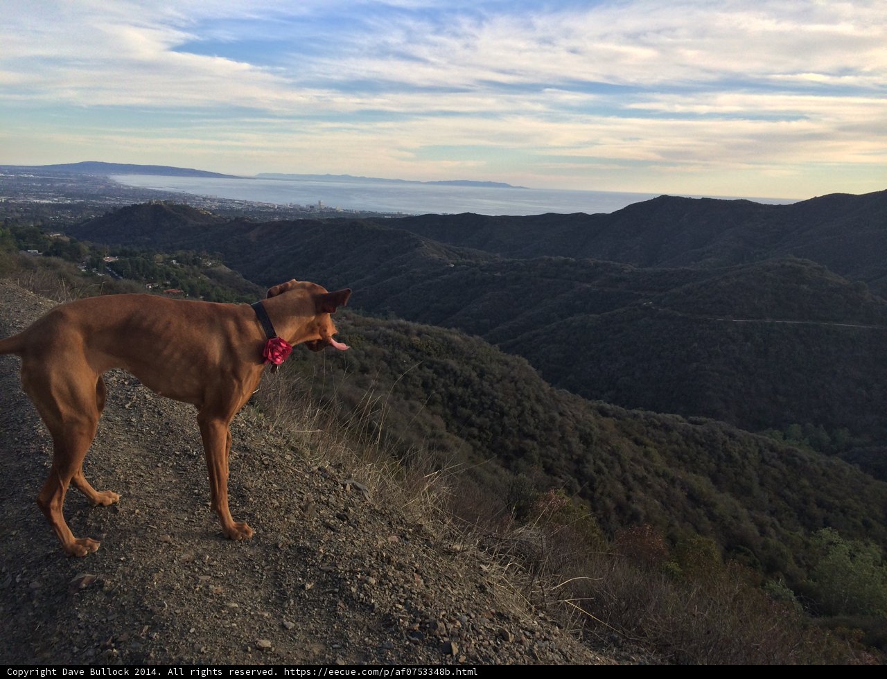 Majestic View