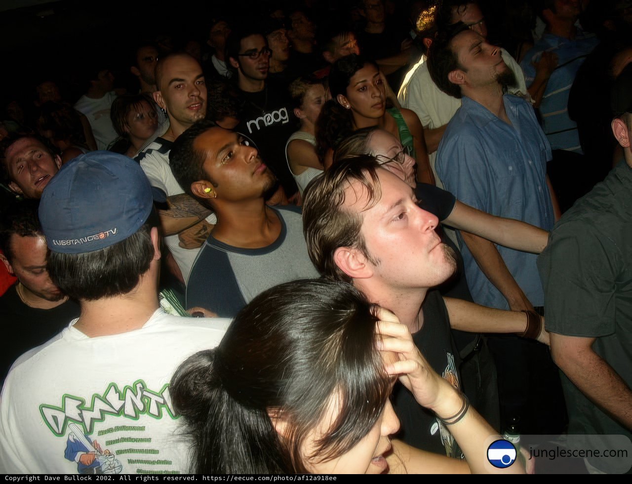 One in the Crowd