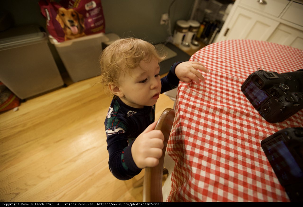 Curious Toddler Exploring Kitchen on Christmas Morning