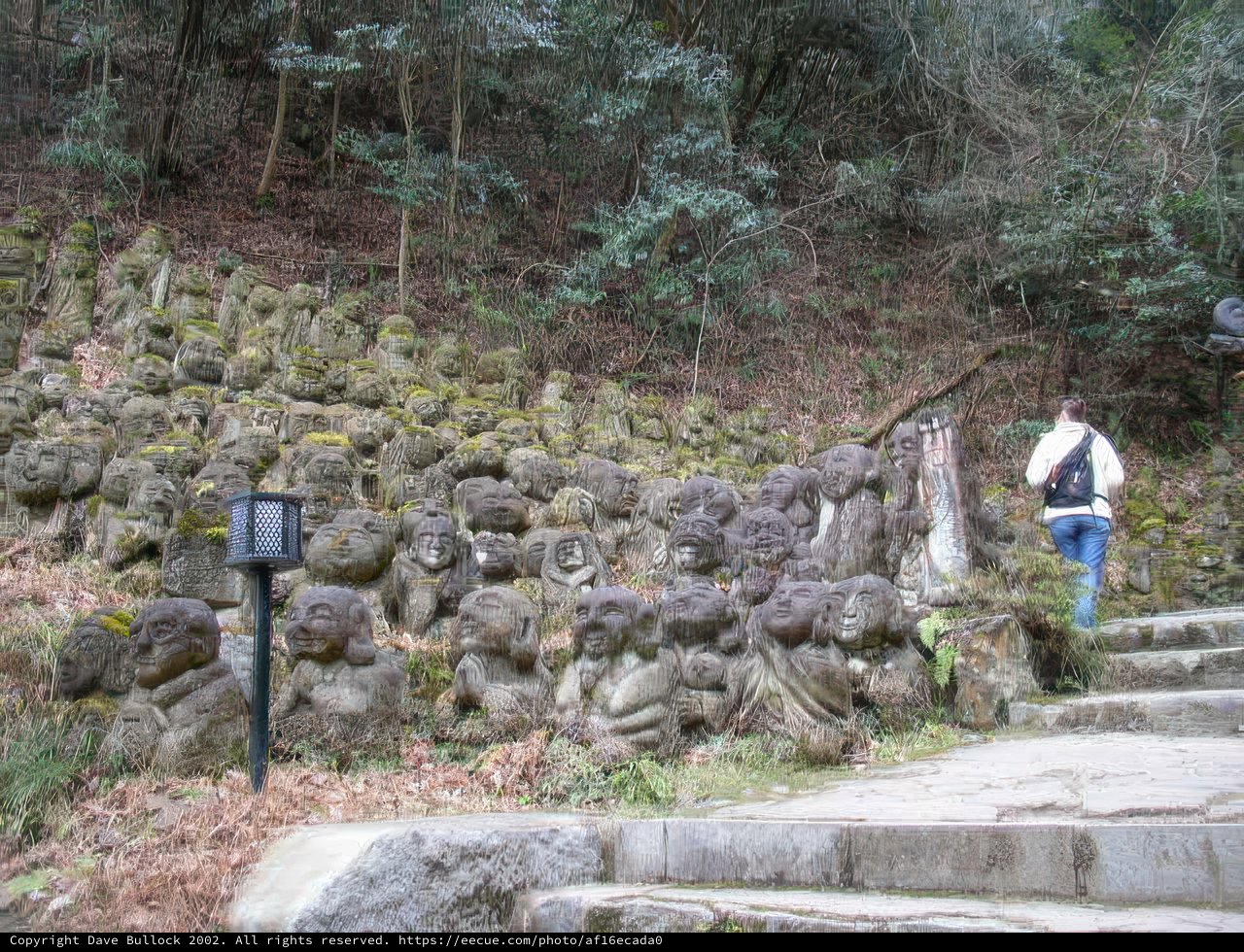 Guardian Spirits of the Wild