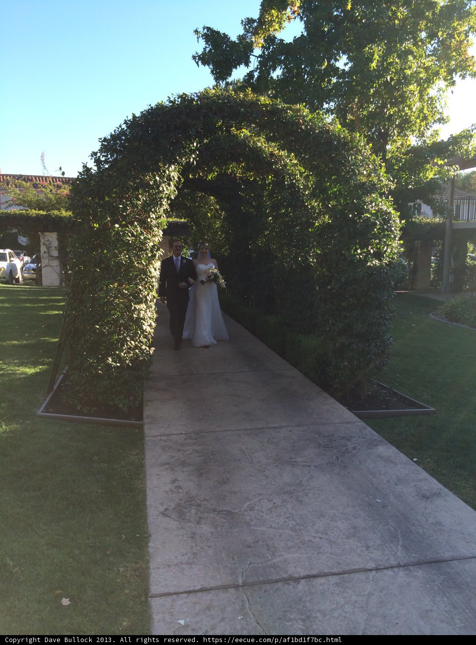 A Romantic Stroll through the Garden