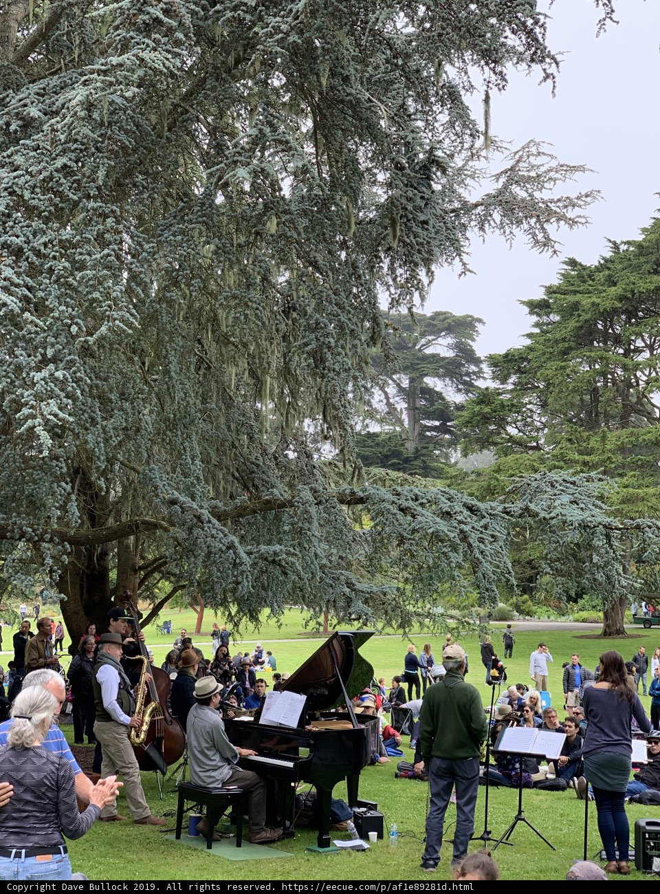 Musical Gathering in San Francisco Botanical Garden