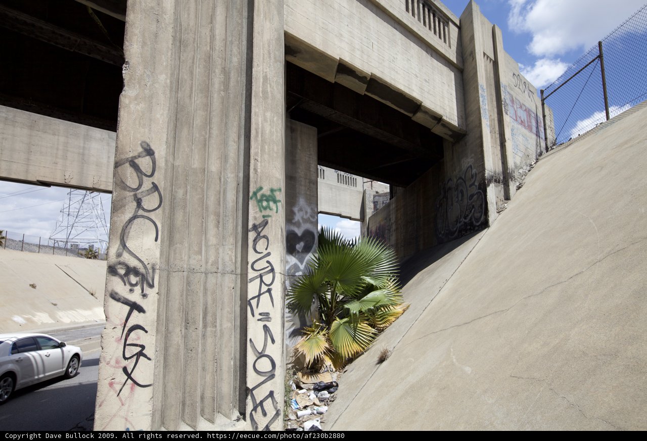 Ride the Ramp