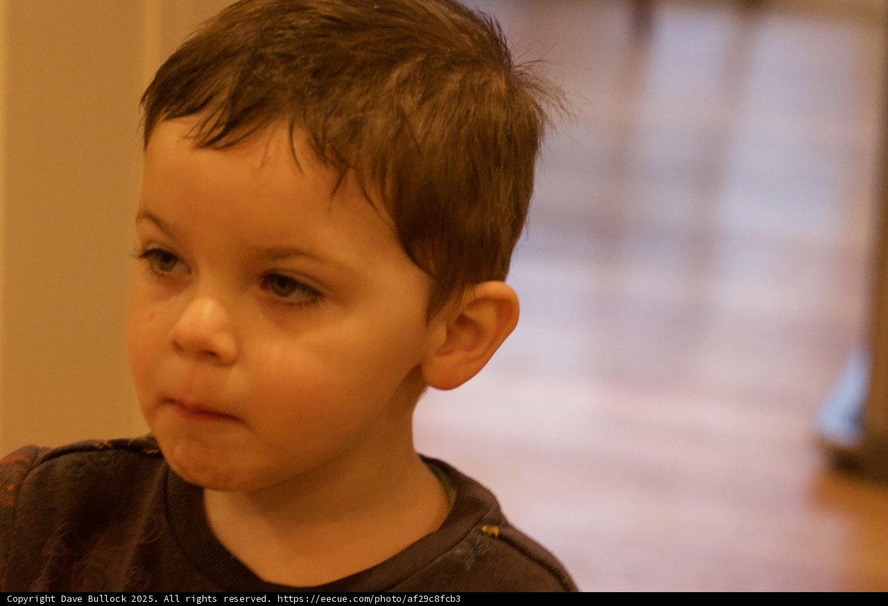 Moment of Pensive Reflection