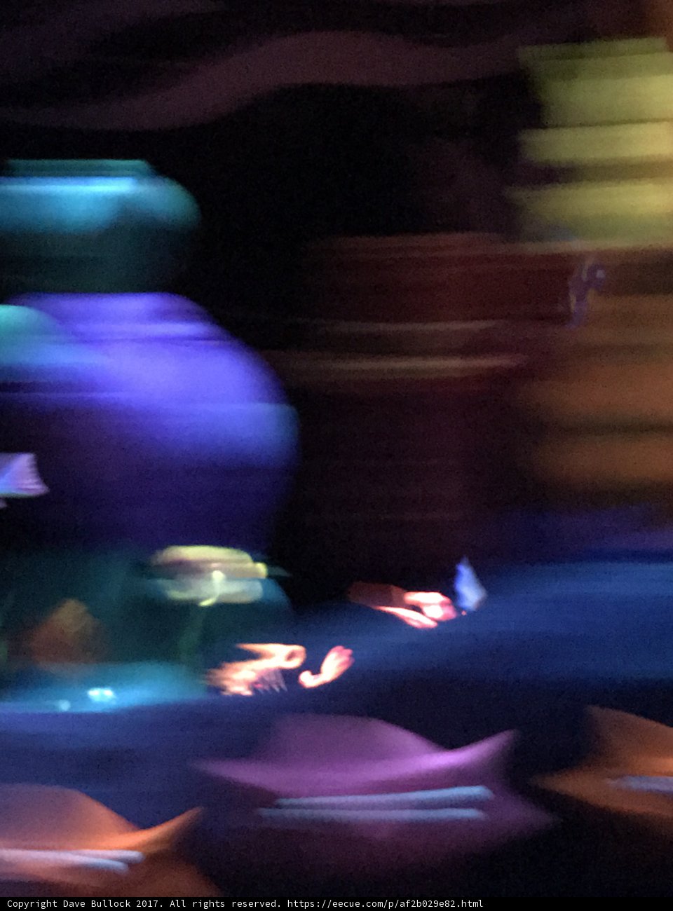 A Nightclub for Fishes