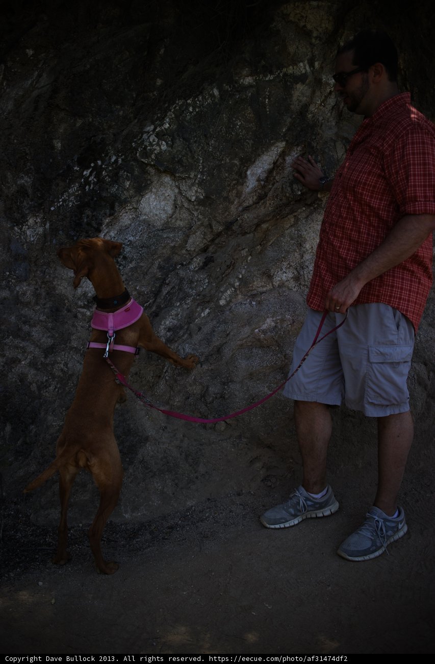 Man Walking His Dog on a Leash in the Rockies