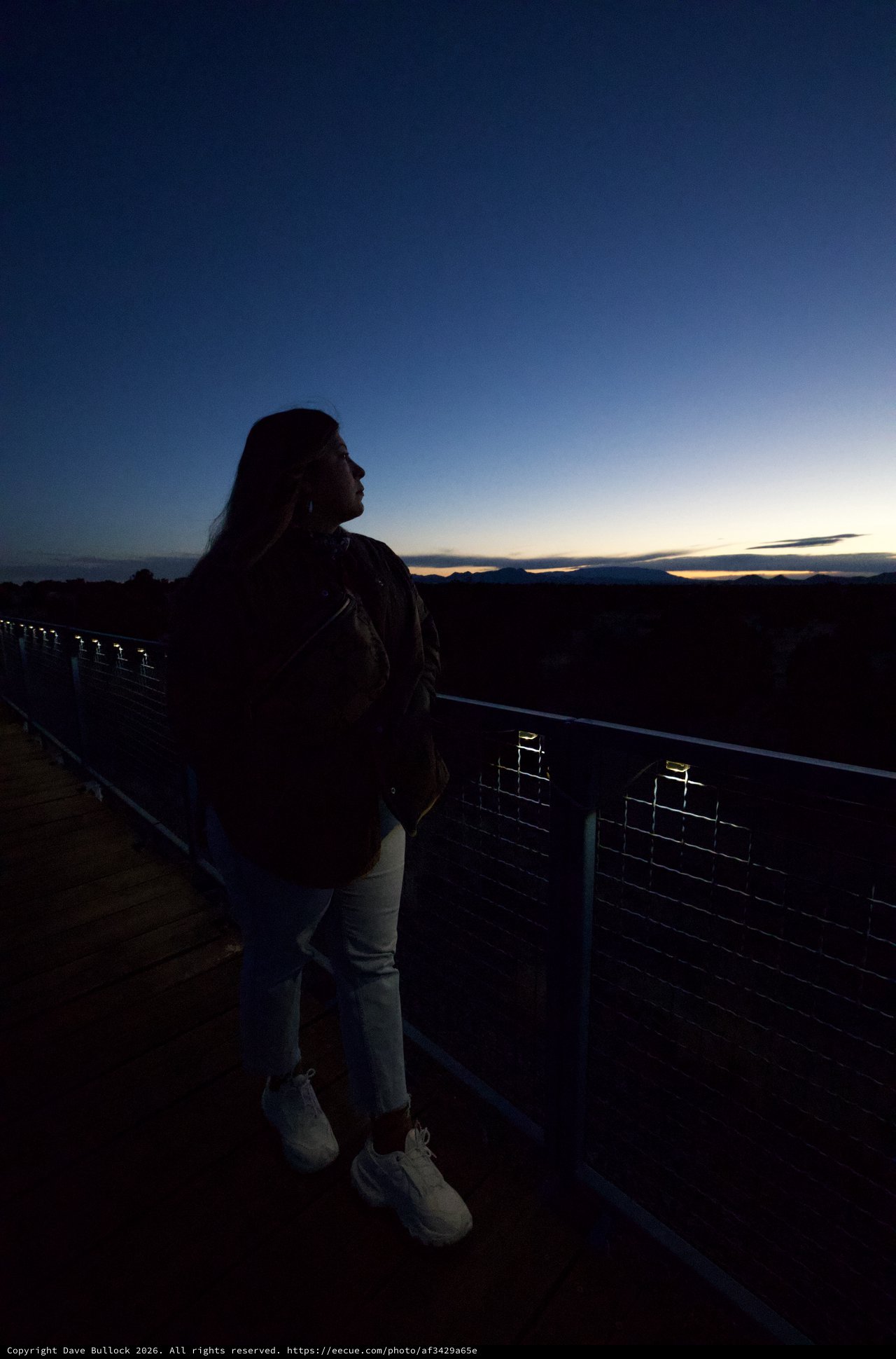 Silhouette Portrait at Twilight Overlook