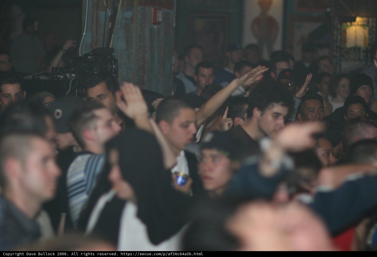 High Energy Party Crowd