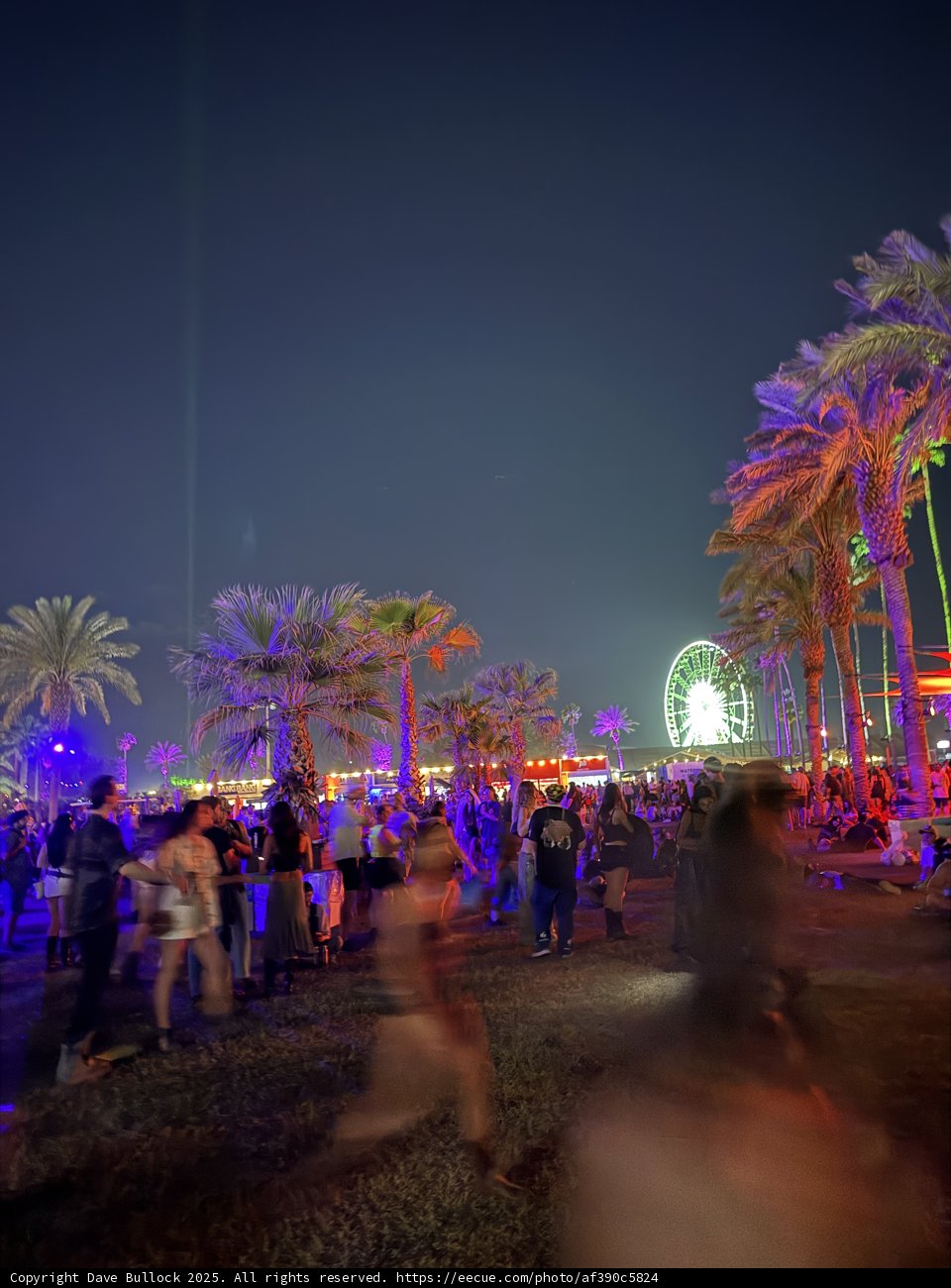 **Electric Nights at the Polo Fields**