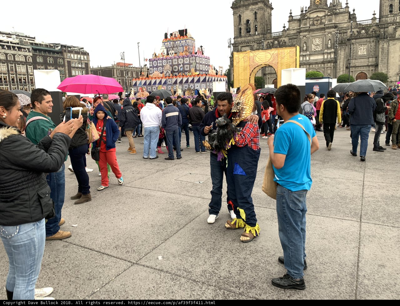 Urban Fashionistas in Mexico City